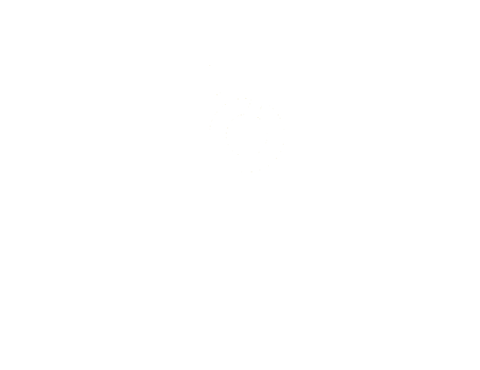 bloomreach logo (1)
