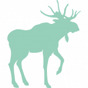 Nordic
